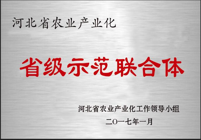 农业产业化省级示范联合体