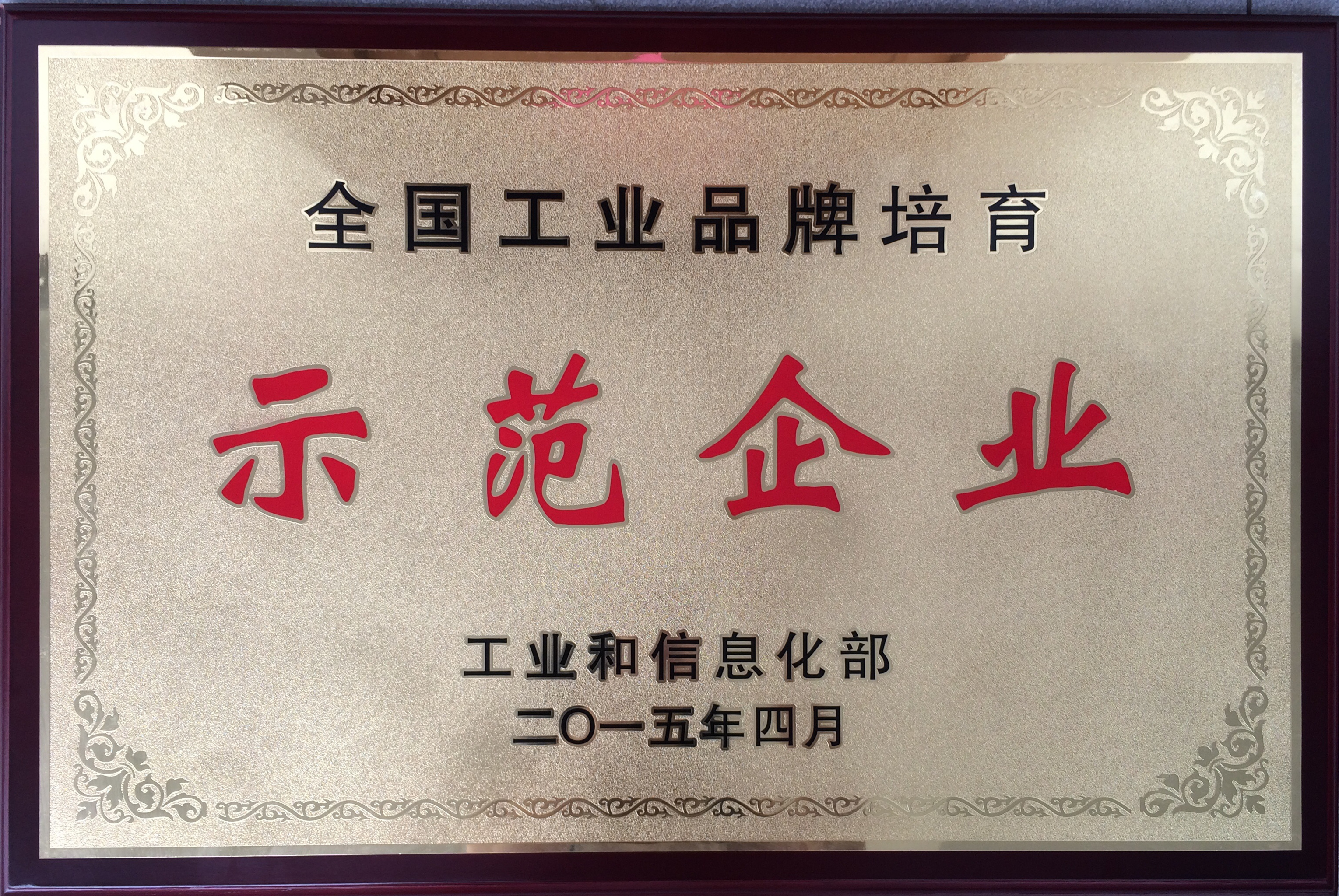 全国工业品牌培育示范企业